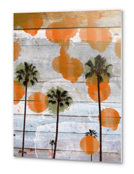 California II Metal prints by Irena Orlov