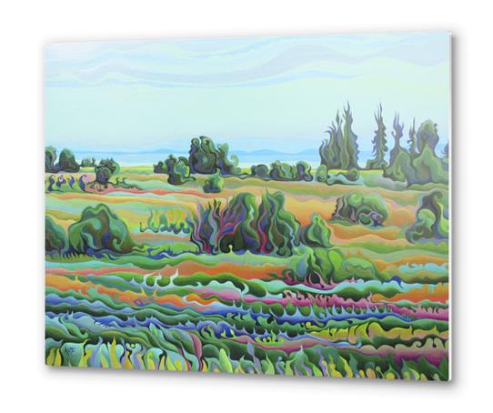 Summer Meadow Dance Metal prints by Amy Ferrari Art