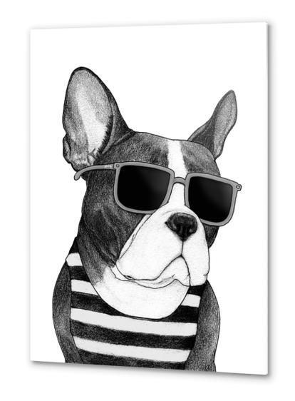 Frenchie Summer Style bw Metal prints by Barruf