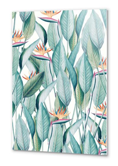 Back to Paradise Island Metal prints by Uma Gokhale