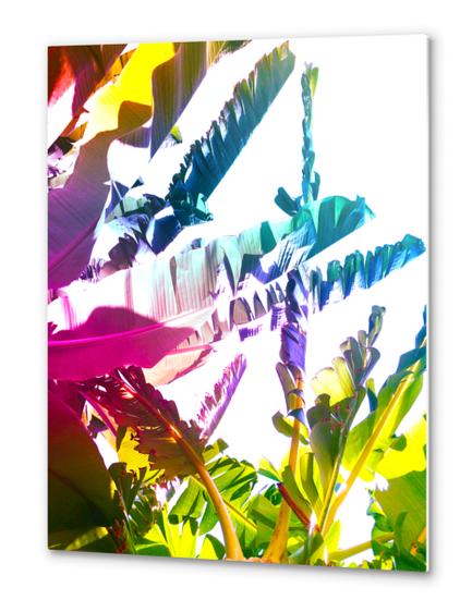 Summer bananas 1 Metal prints by fokafoka