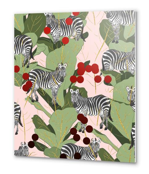 Zebra Harem Metal prints by Uma Gokhale