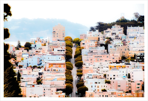 road with green tree and buildings at San Francisco California USA  Art Print by Timmy333