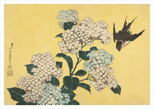 Hydrangea and Swallow Art Print by Katsushika Hokusai