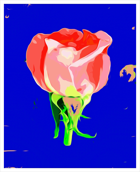 drawing red rose with dark blue background Art Print by Timmy333