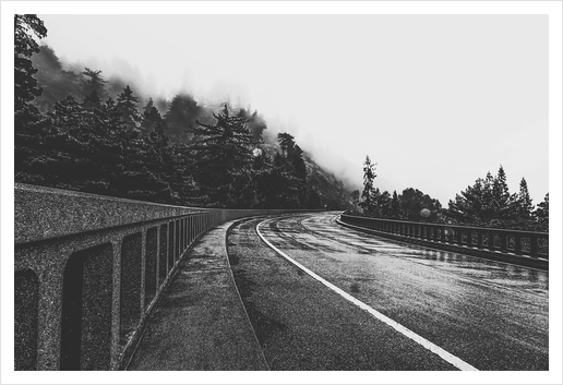 bridge in the forest in black and white Art Print by Timmy333