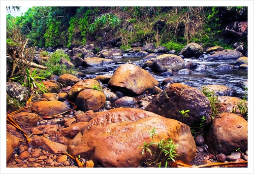 river in the forest with green tree and rock and stone Art Print by Timmy333