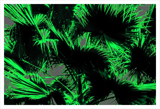 green palm leaves texture abstract background Art Print by Timmy333