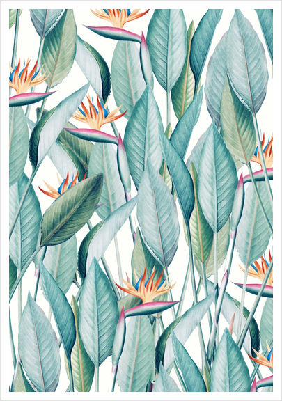 Back to Paradise Island Art Print by Uma Gokhale