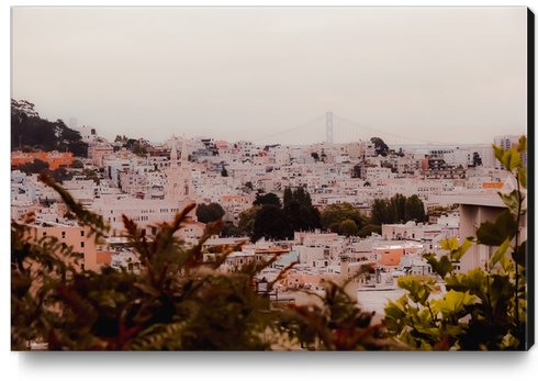 Buildings in the city at San Francisco California USA Canvas Print by Timmy333