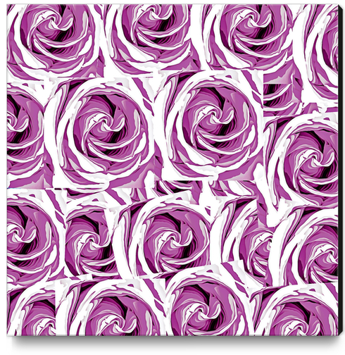 closeup pink rose texture pattern abstract background Canvas Print by Timmy333