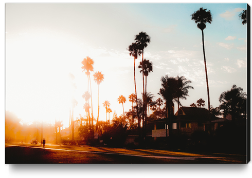 summer sunset sky with palm tree view in California USA Canvas Print by Timmy333