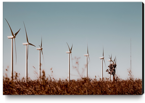 Wind turbine in the desert with blue sky at Kern County California USA Canvas Print by Timmy333