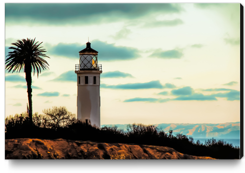 Lighthouse at Point Vicente Lighthouse California USA Canvas Print by Timmy333