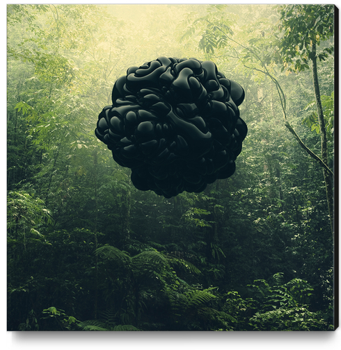 Blacks Canvas Print by Eugene Soloviev