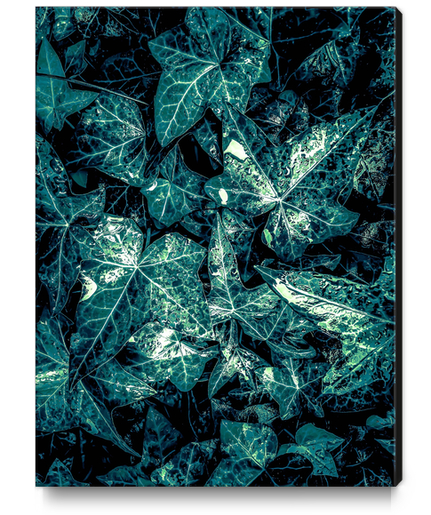 closeup green leaves texture background Canvas Print by Timmy333