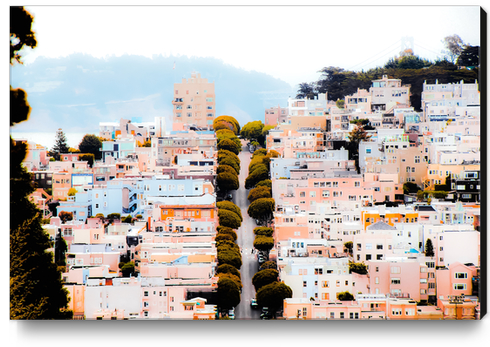 road with green tree and buildings at San Francisco California USA  Canvas Print by Timmy333