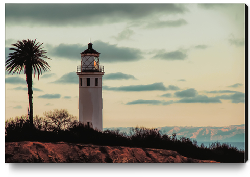 Lighthouse at Point Vicente Lighthouse California USA Canvas Print by Timmy333