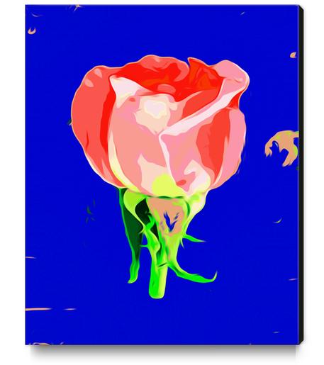 drawing red rose with dark blue background Canvas Print by Timmy333