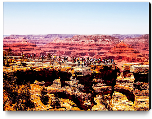 Desert in summer at Grand Canyon national park, USA Canvas Print by Timmy333