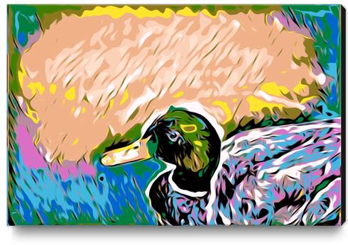 mallard duck with yellow green pink and blue abstract background Canvas Print by Timmy333