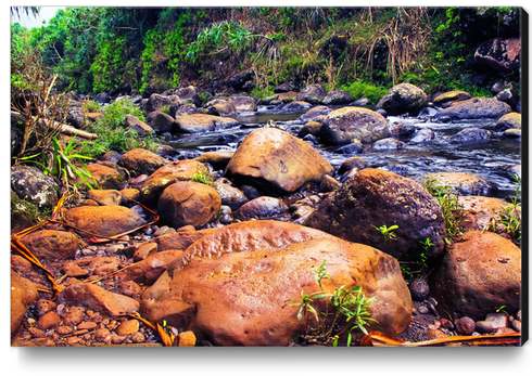 river in the forest with green tree and rock and stone Canvas Print by Timmy333