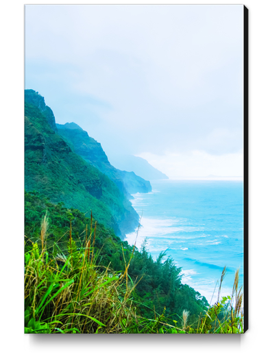 green mountain and ocean view at Kauai, Hawaii, USA Canvas Print by Timmy333