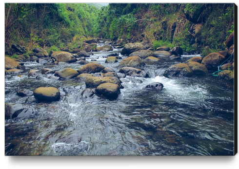 river and rock in the forest with green tree at Kauai, Hawaii Canvas Print by Timmy333