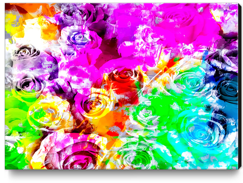 closeup rose texture pattern abstract background in pink blue yellow green red Canvas Print by Timmy333