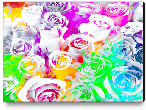 rose texture abstract  with colorful painting abstract background in pink blue green red yellow purple Canvas Print by Timmy333