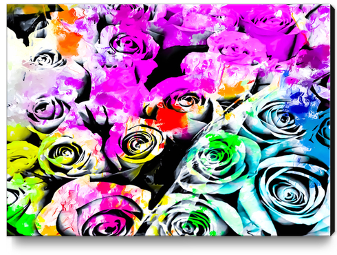 rose texture abstract  with colorful painting abstract background in pink blue green red yellow Canvas Print by Timmy333