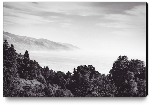 Beautiful ocean view with forest front view at Big Sur, California, USA in black and white Canvas Print by Timmy333