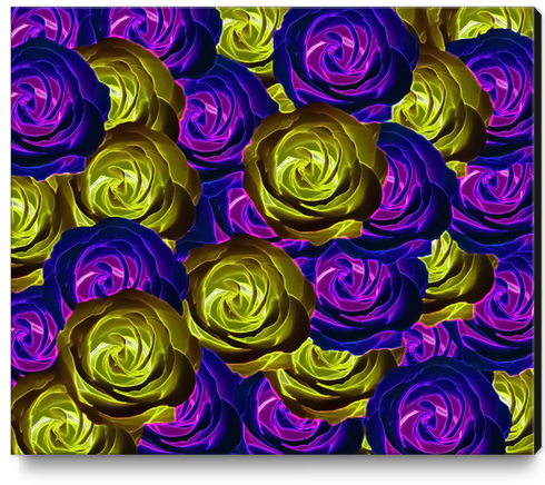 blooming rose texture pattern abstract background in pink purple yellow Canvas Print by Timmy333