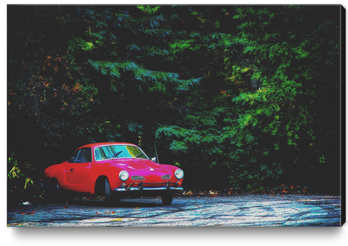 red classic car in the forest with green tree background Canvas Print by Timmy333