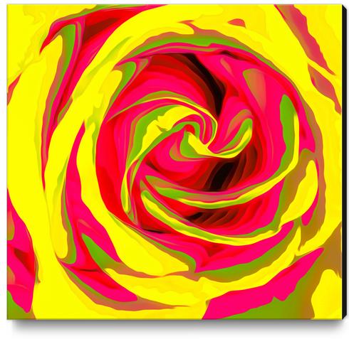 red and yellow rose abstract background Canvas Print by Timmy333