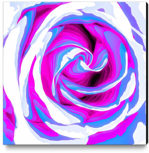 pink and blue closeup rose texture background Canvas Print by Timmy333