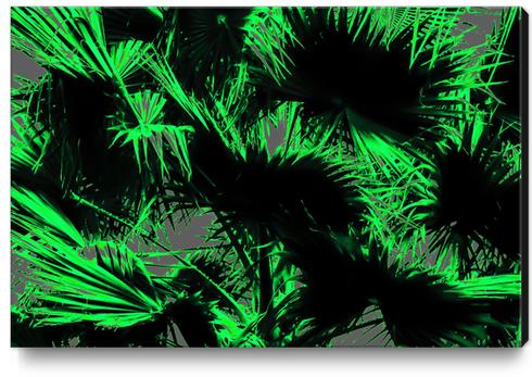 green palm leaves texture abstract background Canvas Print by Timmy333