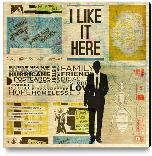 I LIKE IT HERE Canvas Print by db Waterman