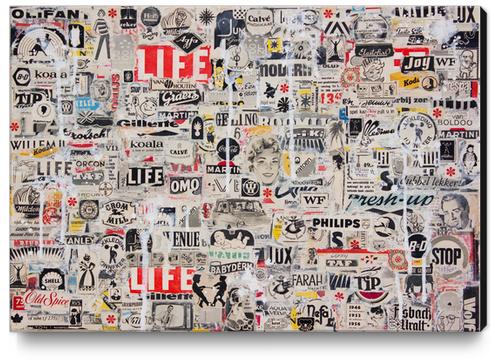 LIFE Canvas Print by db Waterman