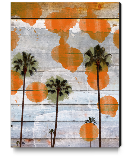 California II Canvas Print by Irena Orlov