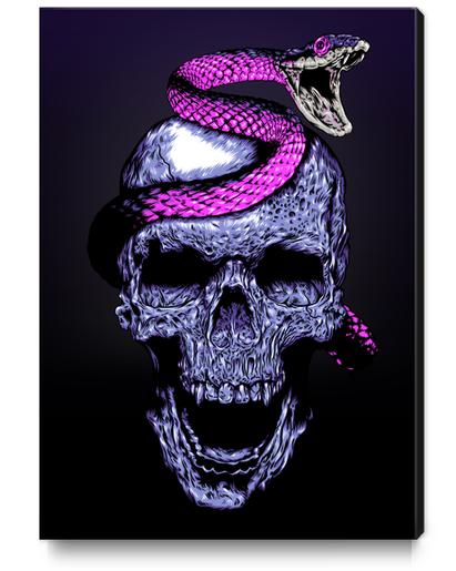 Skull and Snake Canvas Print by Jordygraph