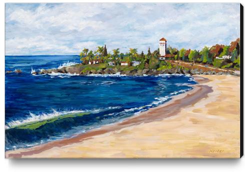 Waimea Bay Canvas Print by DanKeizer