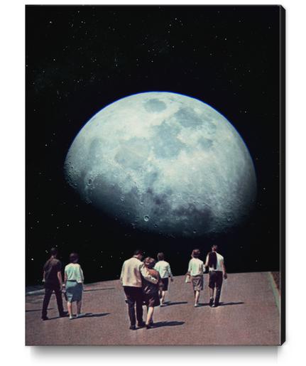 Way Back Home Canvas Print by Frank Moth