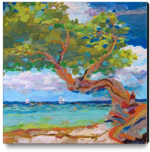 Beach Tree I Canvas Print by Elizabeth St. Hilaire