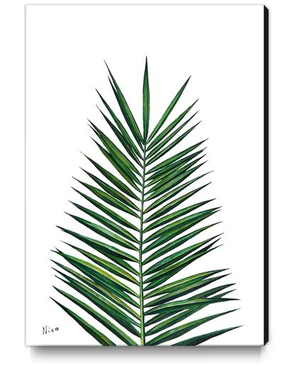 Palm Leaf Canvas Print by Nika_Akin