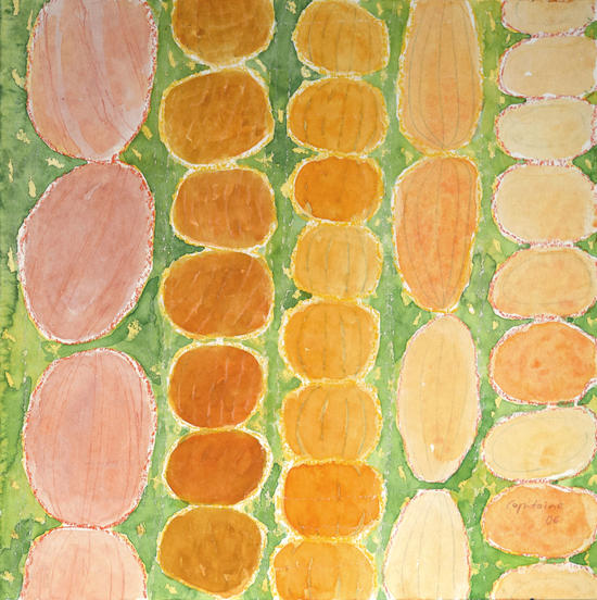 Rows of Round and Reddish Food on Green  by Heidi Capitaine