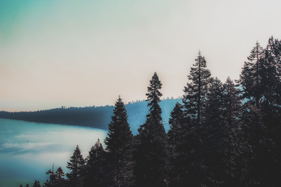 pine tree and lake at Emerald Bay Lake Tahoe California USA by Timmy333