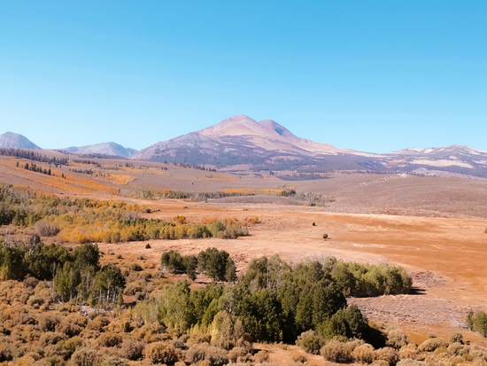 autumn tree with mountain view and blue sky in California USA by Timmy333