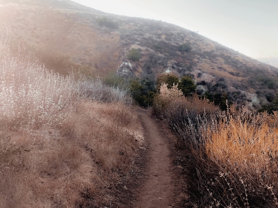 walkway with mountain view and dry grass field by Timmy333