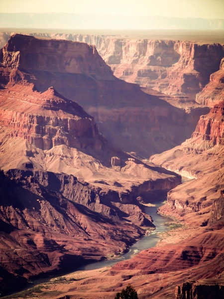 desert at Grand Canyon national park, USA by Timmy333